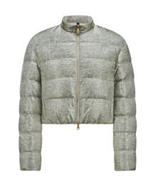 Moncler Women's Down Jacket Paillys Silver