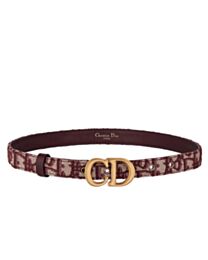 Christian Dior Saddle Dior Oblique Belt 