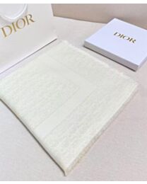 Christian Dior Dior Printed Shawl
