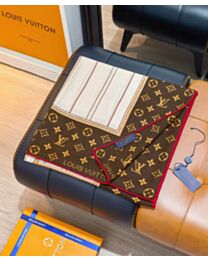 Louis Vuitton MY Neverfull shawl