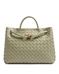 Bottega Veneta Medium Andiamo 