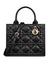 Christian Dior Small Dior Book Tote Black