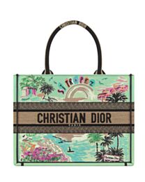 Christian Dior Souvenir Medium Dior Book Tote Green