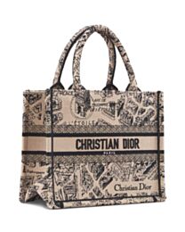 Christian Dior Small Dior Book Tote Apricot