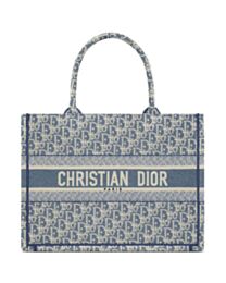 Christian Dior Medium Dior Book Tote Blue