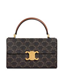 Celine Box Triomphe In Triomphe Canvas And Calfskin Coffee