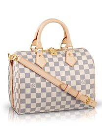 Louis Vuitton Damier Speedy N41000 White