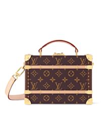 Louis Vuitton Handle Trunk Monogram M11118 Brown