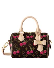 Louis Vuitton x Takashi Murakami Nano Speedy Bag Cherry M13094 Brown