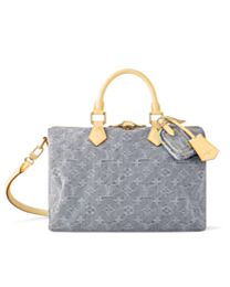 Louis Vuitton Speedy Soft 30 M13344 Gray