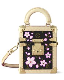 Louis Vuitton X TM Camera Box M14173 Brown