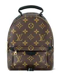 Louis Vuitton Palm Springs Mini M44873 Brown
