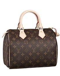 Louis Vuitton Speedy M41528 Brown