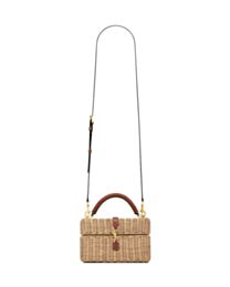Saint Laurent Gaby Vanity Bag In Osier 766731 Coffee
