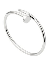 Cartier Juste un Clou bracelet 6062517 