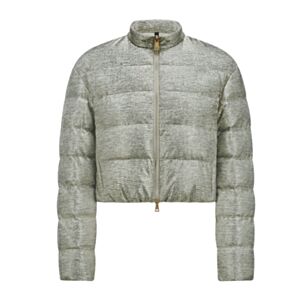 Moncler Women's Down Jacket Paillys Silver