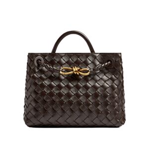 Bottega Veneta Small Andiamo 