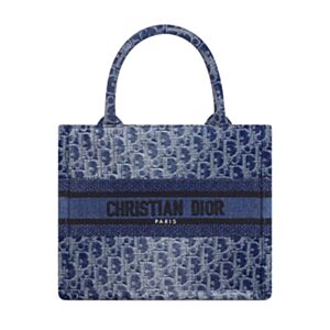 Christian Dior Small Dior Book Tote Blue