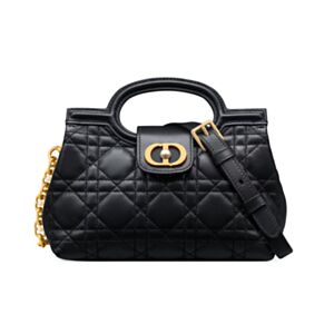 Christian Dior Jolie Top Handle Mini Bag S3123