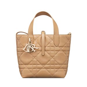 Christian Dior Small Dior Toujours Vertical Tote Bag 