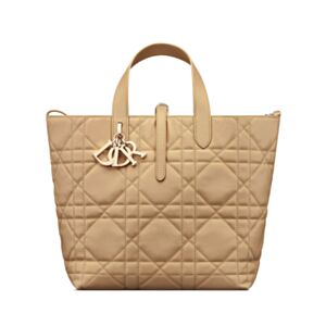 Christian Dior Medium Dior Toujours Vertical Tote Bag 