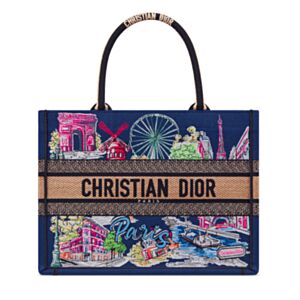Christian Dior Book Tote Bag Blue