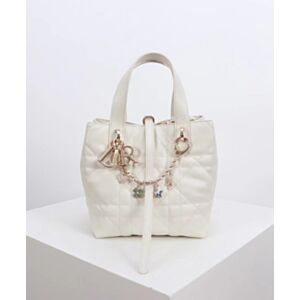 Christian Dior Small Dior Toujours Vertical Handbag
