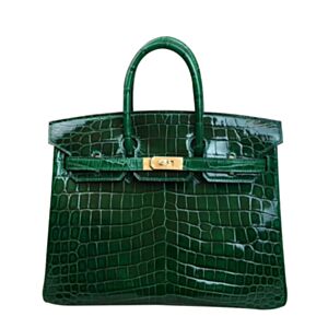 Hermes Birkin 25 Crocodile leather Green