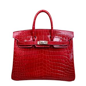 Hermes Birkin 25 Crocodile leather Red