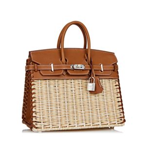 Hermes Birkin 25 Picnic Sellier Coffee