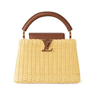 Louis Vuitton Capucines BB M11617 Coffee