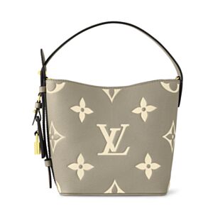 Louis Vuitton All In BB M13045 Gray