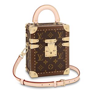 Louis Vuitton Camera Box M10079 Brown