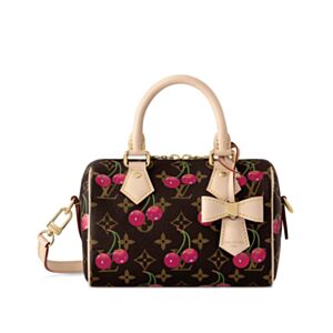 Louis Vuitton x Takashi Murakami Nano Speedy Bag Cherry M13094 Brown