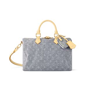 Louis Vuitton Speedy Soft 30 M13344 Gray