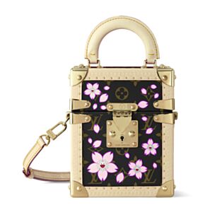 Louis Vuitton X TM Camera Box M14173 Brown