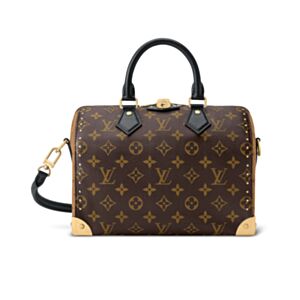 Louis Vuitton Speedy Trunk 25 M26181 Brown
