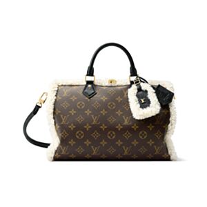 Louis Vuitton Speedy Soft 30 Teddy M26326 Brown