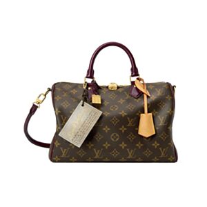 Louis Vuitton Speedy 30 Soft Celebration M28379 Brown