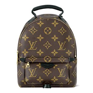 Louis Vuitton Palm Springs Mini M44873 Brown