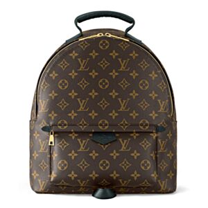 Louis Vuitton Palm Springs MM M44874 Brown