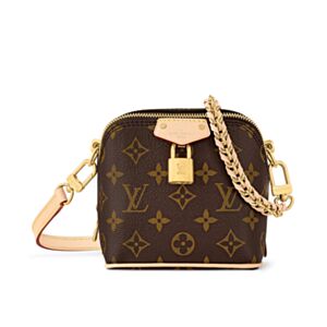 Louis Vuitton JUST IN CASE bag Brown