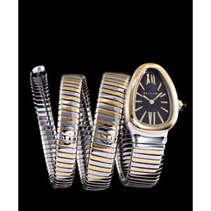Bvlgari stainless steel automatic watch for women Black