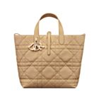 Christian Dior Medium Dior Toujours Vertical Tote Bag 