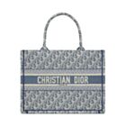 Christian Dior Medium Dior Book Tote Blue