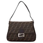 Fendi Zucca Canvas Bag Coffee