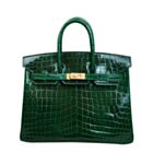 Hermes Birkin 25 Crocodile leather Green