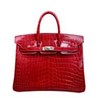 Hermes Birkin 25 Crocodile leather Red