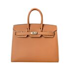 Hermes Birkin 25 Bronze Epsom Light Coffee