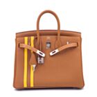 Hermes Birkin 25 Officier Togo Handbag Coffee